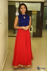 Arthana Binu at Seethamma Andaalu Raamayya Sithraalu Platinum Disc Function